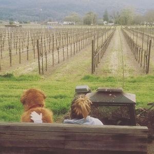 Meet your Posher, Anna